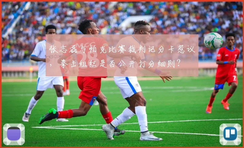 张志磊与帕克比赛裁判记分卡惹议，拳击组织是否公开打分细则？